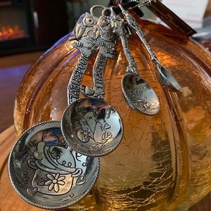 NWT Ganz 4 pc Measuring Spoons Owl Pattern